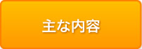 主な内容